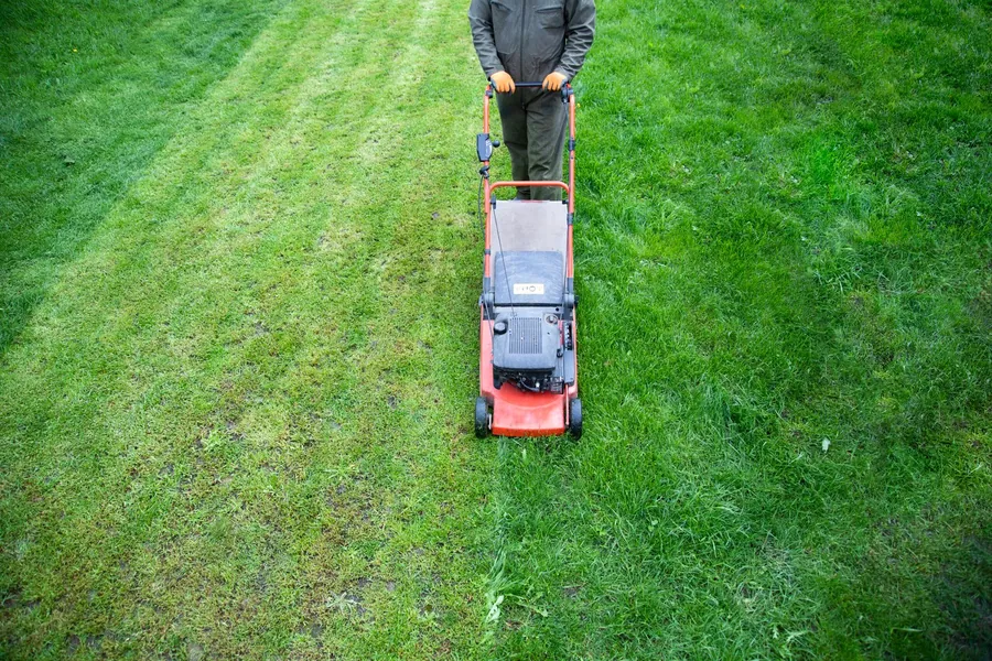 Lawn care and maintenance